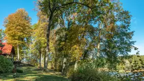 Łabędzi Ostrów i jezioro Kisajno w jesiennym wydaniu - zdjęcie 29