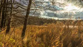 Jezioro Krzywa Kuta między jesienią, a zimą, listopad 2025 r. - zdjęcie 9