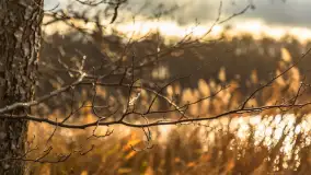 Jezioro Krzywa Kuta między jesienią, a zimą, listopad 2025 r. - zdjęcie 6