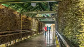 Tężnie Solankowe w Gołdapi, wiosna 2025 r. - zdjęcie 4