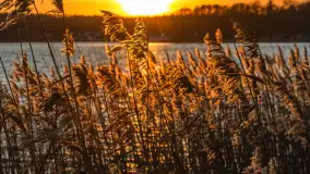 Zimowy zachód słońca nad jeziorem Kisajno, styczeń 2025 r. - zdjęcie 7