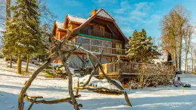 Słoneczna zima w Łabędzim Ostrowiu, luty 2025 r. - zdjęcie 2