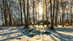 Słoneczna zima w Łabędzim Ostrowiu, luty 2025 r. - zdjęcie 15