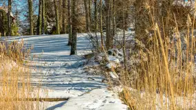 Słoneczna zima w Łabędzim Ostrowiu, luty 2025 r. - zdjęcie 12