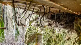 Schrony Kruklaneckiej pozycji umocnieniowej - zdjęcie 47