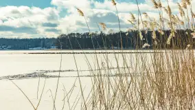 Stranda zimą, początek lutego 2025 r. - zdjęcie 13