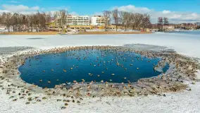 Stranda zimą, początek lutego 2025 r. - zdjęcie 1