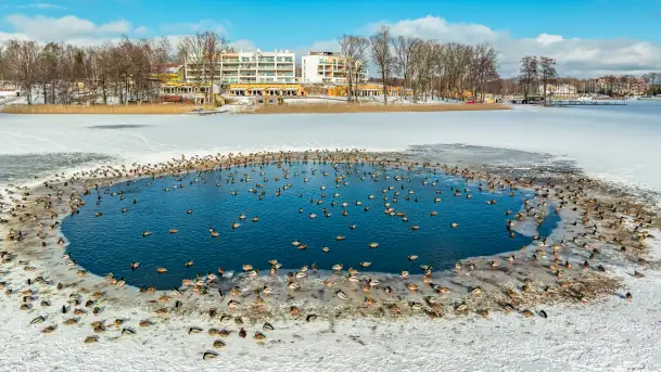 Stranda zimą, początek lutego 2025 r.