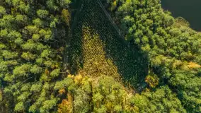 Jesienne Mazury z drona, mix ujęć, październik 2025 r. - zdjęcie 19