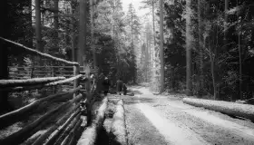 Krutynia na starych zdjęciach i pocztówkach - zdjęcie 32