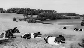 Pasym / Passenheim na starych pocztówkach i zdjęciach - zdjęcie 48