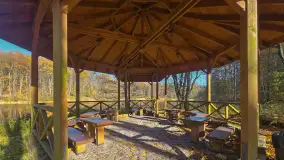 Jesień w lesie miejskim w Giżycku, listopad 2025 r. - zdjęcie 28