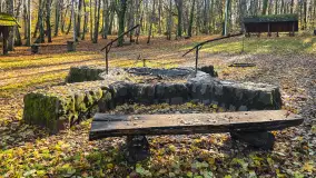 Jesień w lesie miejskim w Giżycku, listopad 2025 r. - zdjęcie 18