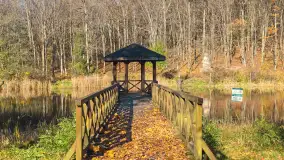 Jesień w lesie miejskim w Giżycku, listopad 2025 r. - zdjęcie 2