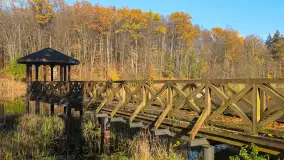 Jesień w lesie miejskim w Giżycku, listopad 2025 r. - zdjęcie 13