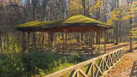 Jesień w lesie miejskim w Giżycku, listopad 2025 r. - zdjęcie 22