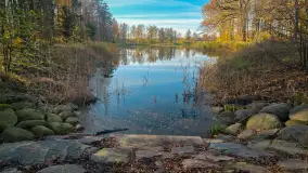 Jesień w lesie miejskim w Giżycku, listopad 2025 r. - zdjęcie 5