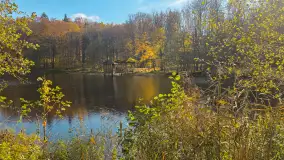 Jesień w lesie miejskim w Giżycku, listopad 2025 r. - zdjęcie 14