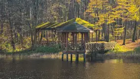 Jesień w lesie miejskim w Giżycku, listopad 2025 r. - zdjęcie 51