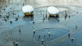 Zima w porcie Resort Niegocin, grudzień 2025 r. - zdjęcie 15