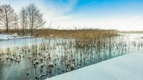 Zima w porcie Resort Niegocin, grudzień 2025 r. - zdjęcie 11