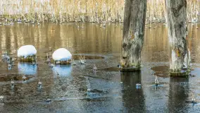 Zima w porcie Resort Niegocin, grudzień 2025 r. - zdjęcie 24