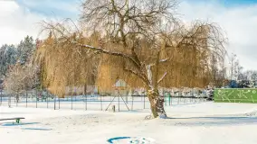 Zimowa sceneria w AZS Wilkasy nad Niegocinem, grudzień 2025 r. - zdjęcie 37