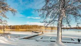 Zima w Łabędzim Ostrowiu w Pięknej Górze, Grudzień 2025 r. - zdjęcie 1