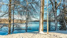 Zima w Łabędzim Ostrowiu w Pięknej Górze, Grudzień 2025 r. - zdjęcie 9