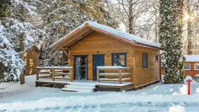 Zima w Łabędzim Ostrowiu w Pięknej Górze, Grudzień 2025 r. - zdjęcie 6