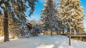 Zima w Łabędzim Ostrowiu w Pięknej Górze, Grudzień 2025 r. - zdjęcie 10