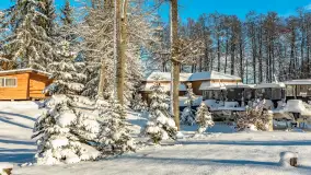 Zima w Łabędzim Ostrowiu w Pięknej Górze, Grudzień 2025 r. - zdjęcie 2