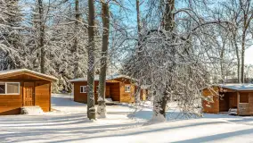 Zima w Łabędzim Ostrowiu w Pięknej Górze, Grudzień 2025 r. - zdjęcie 33