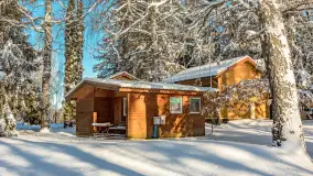 Zima w Łabędzim Ostrowiu w Pięknej Górze, Grudzień 2025 r. - zdjęcie 41