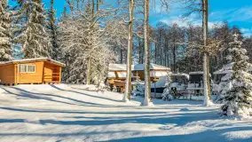 Zima w Łabędzim Ostrowiu w Pięknej Górze, Grudzień 2025 r. - zdjęcie 44