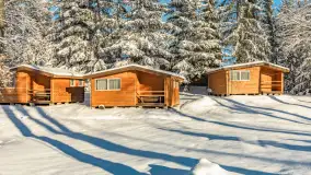 Zima w Łabędzim Ostrowiu w Pięknej Górze, Grudzień 2025 r. - zdjęcie 19