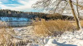 Zima w Łabędzim Ostrowiu w Pięknej Górze, Grudzień 2025 r. - zdjęcie 53