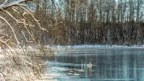 Zima w Łabędzim Ostrowiu w Pięknej Górze, Grudzień 2025 r. - zdjęcie 49