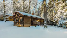 Zima w Łabędzim Ostrowiu w Pięknej Górze, Grudzień 2025 r. - zdjęcie 38