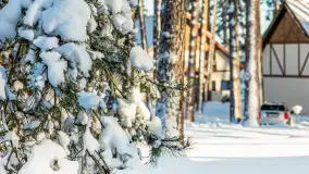 Czy to aby na pewno zima na Mazurach? grudzień 2025 r. - zdjęcie 20