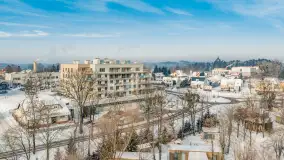 Wilkasy pod śniegiem, styczeń 2026 r. - zdjęcie 21