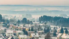 Wilkasy pod śniegiem, styczeń 2026 r. - zdjęcie 25