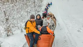 Kulig w puszczy Piskiej razem z OW Wodnik, Ruciane-Nida, Styczeń 2026 r. - zdjęcie 47