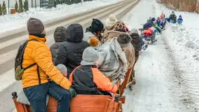Kulig w puszczy Piskiej razem z OW Wodnik, Ruciane-Nida, Styczeń 2026 r. - zdjęcie 27