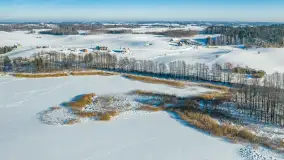 Paprotki i jezioro Paproteckie w zimowej aurze, styczeń 2026 r. - zdjęcie 19