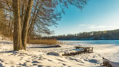 Jezioro Tyrkło, polana Wydra w zimowej odsłonie, luty 2026 r.