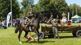 Zdjęcia: Zimnokrwiste rozgrzały serca publiczności - zdjęcie 34