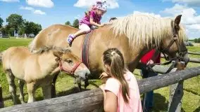 Zdjęcia: Zimnokrwiste rozgrzały serca publiczności - zdjęcie 13