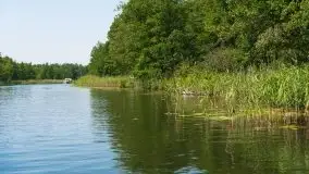 Zdjęcia: Malowniczy szlak wodny z Węgorzewa na Mamry - zdjęcie 12