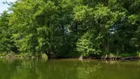 Zdjęcia: Malowniczy szlak wodny z Węgorzewa na Mamry - zdjęcie 15